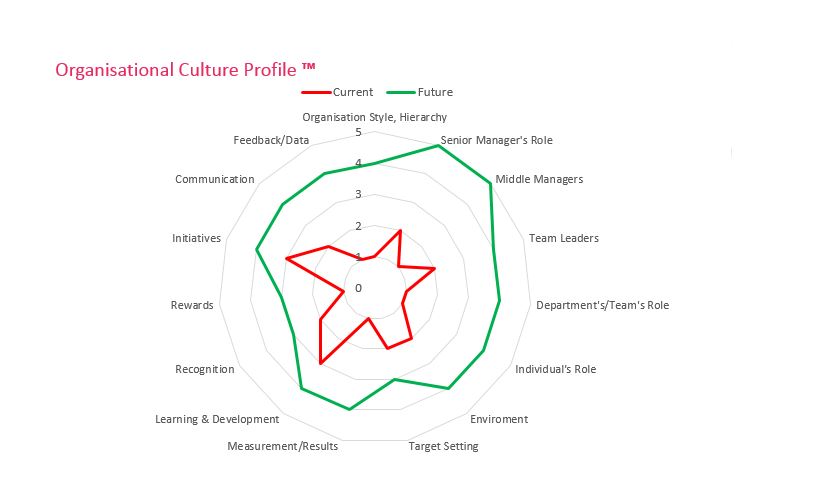 Organisation Culture Profile Chart